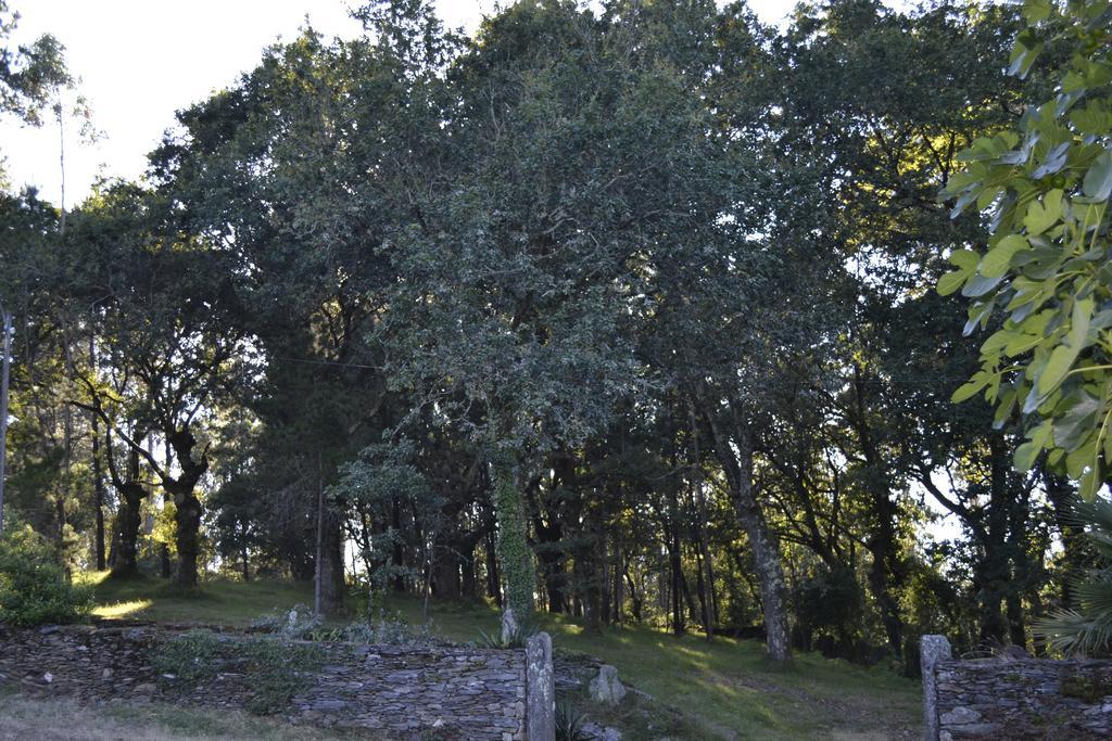 Pensjonat A Pena De Augasantas Oca de Abaixo Zewnętrze zdjęcie